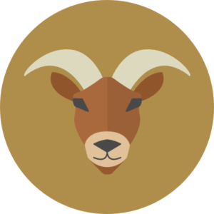 מזל גדי הורסקופ